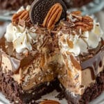 Tarta de Queso Alemana de Chocolate Sin Hornear – Fácil