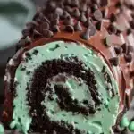 Pastel enrollado de menta con chispas de chocolate Idea de postre perfectafile