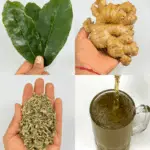 Tisana para Depurar Hígado, Parásitos y Artritis
