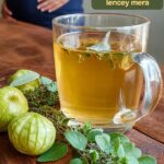 Infusion Guayaba Laurel Oregano